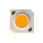 CREE 发光二极管 CMA1516-0000-000N0H0A27G