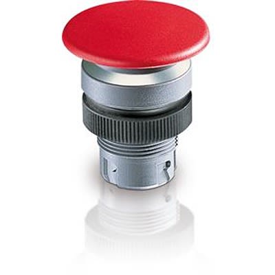 RAFI 按钮开关 1.30.246.502/0100