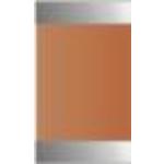 WALSIN/台湾华新科技 陶瓷电容 0603N9R1D500CT