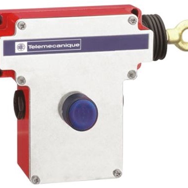 TELEMECANIQUE SENSORS 限位开关 XY2CE2A290H7