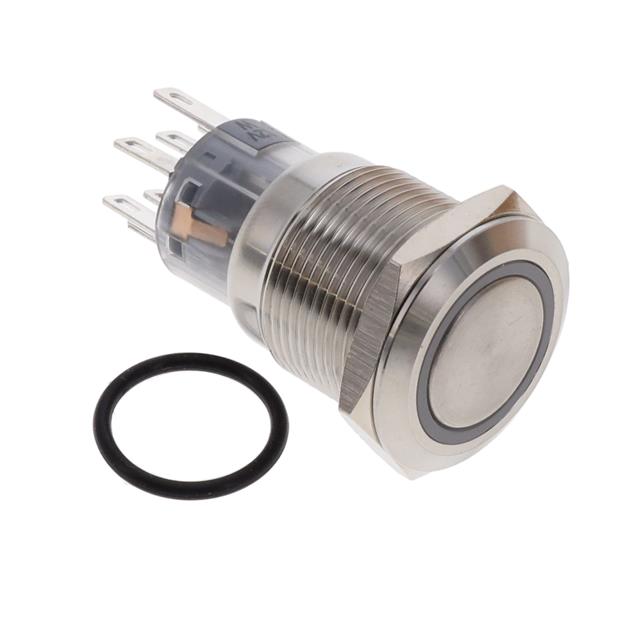 E-SWITCH 按钮开关 PV4F2G0SS-304